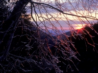 Kaaterskill Clove Sunrise