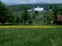 Solemere Farm