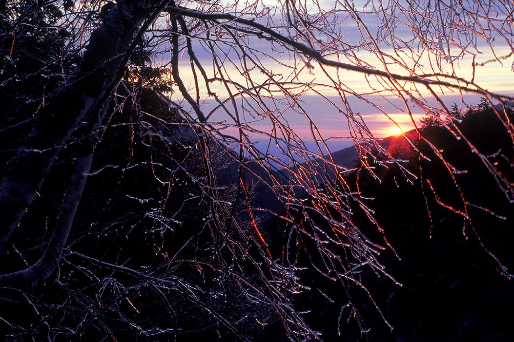 Kaaterskill Clove Sunrise
