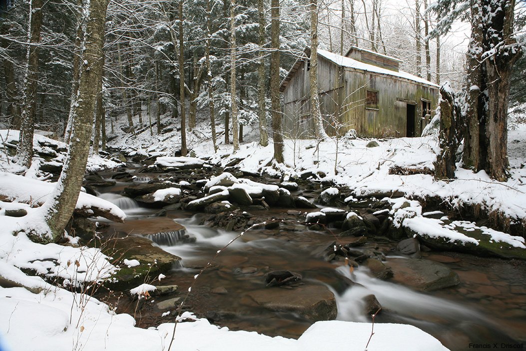 Sap House In Winter